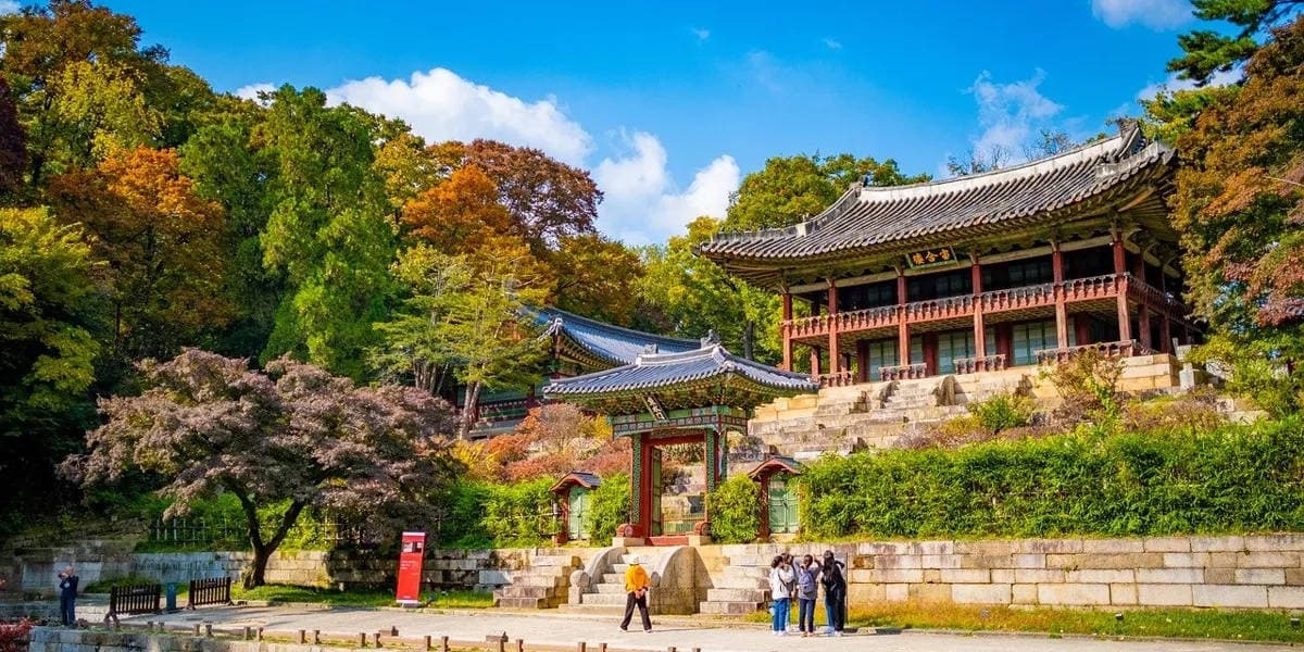 Explore the serene beauty of Changdeokgung Palace's Secret Garden and plan your visit with our detailed opening hours guide.