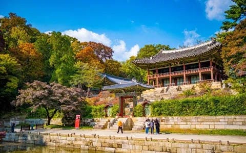 Explore the serene beauty of Changdeokgung Palace's Secret Garden and plan your visit with our detailed opening hours guide.