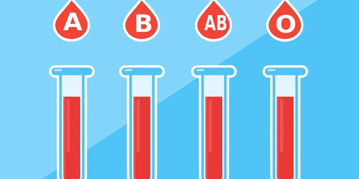 Explore the world of Korean blood type personalities. Learn about the traits, origins, myths, compatibility, and modern perceptions.