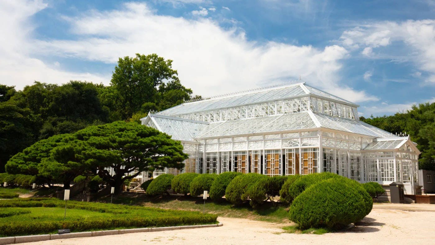 Find out about Changgyeonggung Palace: Learn the entrance fees, hours, and uncover the sad history of Korea. Plus, check out Seoul's first Western-style greenhouse