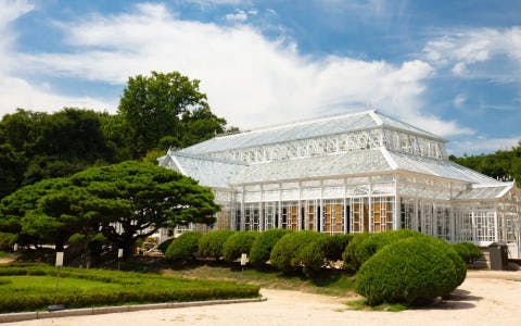 Find out about Changgyeonggung Palace: Learn the entrance fees, hours, and uncover the sad history of Korea. Plus, check out Seoul's first Western-style greenhouse