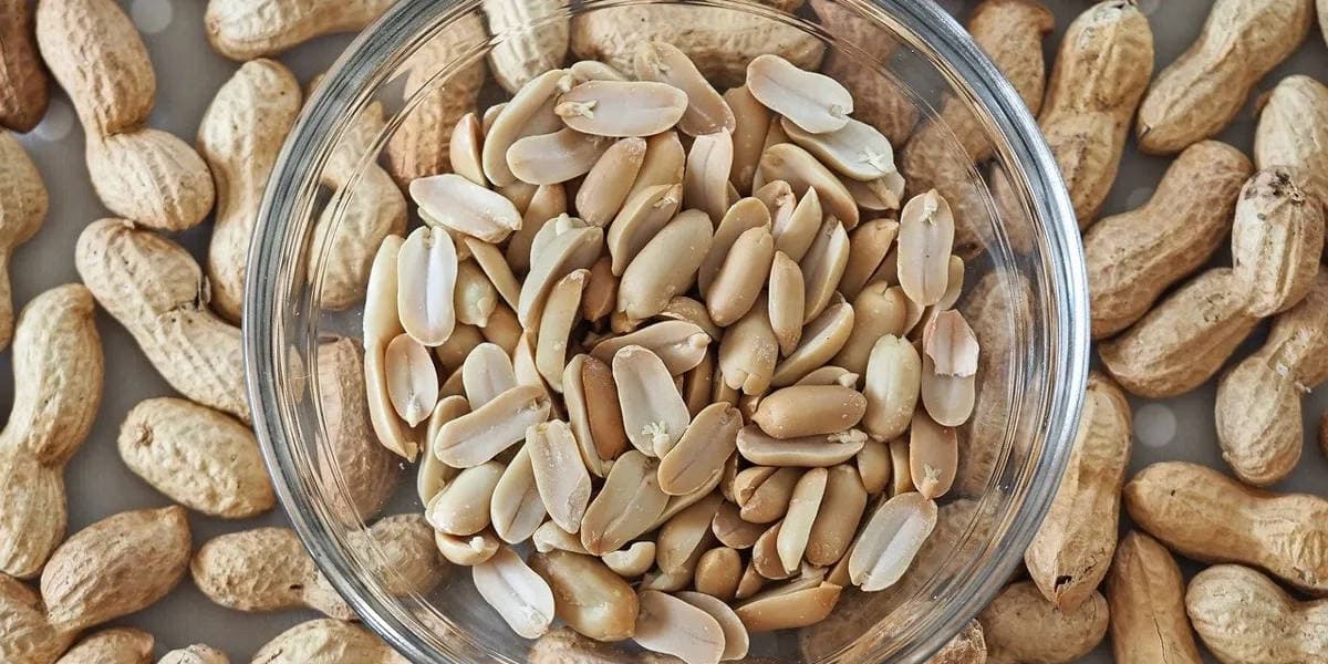 Traveling to South Korea with a peanut allergy? Discover essential phrases and tips for safe dining. Learn how to navigate peanut-related risks in Korean cuisine.